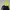 Gorpcore Hoody Pria green black photo 1