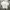 Casual T-shirt Pria white photo 1