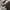 Mammut Gorpcore Track jacket Pria black photo 2