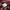 A Bathing Ape Grunge Indie Casual shirt Pria red photo 6