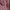 Casual Sweater Wanita multicolor pink photo 2