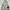 Streetwear Minimalist Wanita gray photo 1