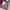 Casual Scarf Wanita burgundy photo 4