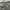 Biker Windbreaker Pria gray photo 5