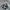 Adidas Indie Casual Sneakers Wanita white gray photo 1
