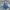 Adidas Indie Casual Sneakers Pria blue photo 5