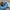 Adidas Indie Casual Sneakers Pria blue photo 4