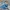 Adidas Indie Casual Sneakers Pria blue photo 1