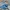 Adidas Indie Casual Sneakers Pria Blue