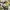 Japanese brand Grunge Indie Casual shirt Pria multicolor photo 5