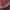 Japanese brand Vintage Streetwear Casual shirt Pria red photo 4