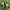 Nike Streetwear Y2K Sneakers Pria white black photo 4