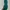 Nike Streetwear Y2K Sneakers Pria white green photo 4