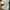 Nike Streetwear Sportswear Sneakers Pria white photo 5
