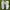 Nike Streetwear Sportswear Sneakers Pria white photo 1