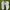 Nike Streetwear Sportswear Sneakers Pria White
