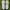 Nike Streetwear Sportswear Sneakers Pria white photo 2