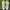 Nike Streetwear Sportswear Sneakers Pria White