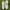 Nike Streetwear Sportswear Sneakers Pria white photo 3