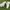 Nike Streetwear Sportswear Sneakers Pria white photo 4