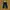Dickies Biker Casual Formal Pants Pria Black