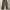 Streetwear Casual Casual pants Pria green photo 1