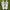 Nike Streetwear Y2K Sneakers Pria white gray photo 2
