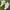 Nike Streetwear Y2K Sneakers Pria white gray photo 4