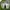 Nike Streetwear Y2K Sneakers Pria white gray photo 5