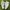 Nike Streetwear Y2K Sneakers Pria white gray photo 1