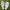 Nike Streetwear Y2K Sneakers Pria White Gray