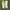 Nike Streetwear Y2K Sneakers Pria white gray photo 3