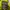 Streetwear Track jacket Pria yellow photo 6