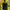 Streetwear Track jacket Pria yellow photo 3