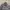 Carhartt Casual Harrington jacket Pria gray photo 2