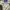 Reebok Casual Hat Pria white cream photo 3