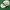 Reebok Casual Hat Pria white cream photo 1