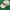 Reebok Casual Hat Pria White Cream