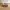 VANS Minimalist Casual Sneakers Pria white black photo 2