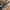 VANS Minimalist Casual Sneakers Pria white black photo 5