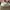 VANS Minimalist Casual Sneakers Pria white black photo 7