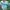 Casual Hat Pria multicolor blue photo 4