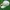 New Era Casual Hat Pria white photo 2