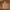 American Apparel Vintage Luxury Parka Pria tan cream photo 3