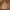 American Apparel Vintage Luxury Parka Pria tan cream photo 2