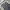 Issey Miyake Y2K Avant Garde Pleated skirt Wanita gray photo 4