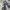 Issey Miyake Y2K Avant Garde Pleated skirt Wanita gray photo 1
