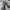 Issey Miyake Y2K Avant Garde Pleated Skirt Wanita Gray