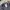 Issey Miyake Y2K Avant Garde Pleated skirt Wanita gray photo 5