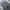 Issey Miyake Y2K Avant Garde Pleated skirt Wanita gray photo 2